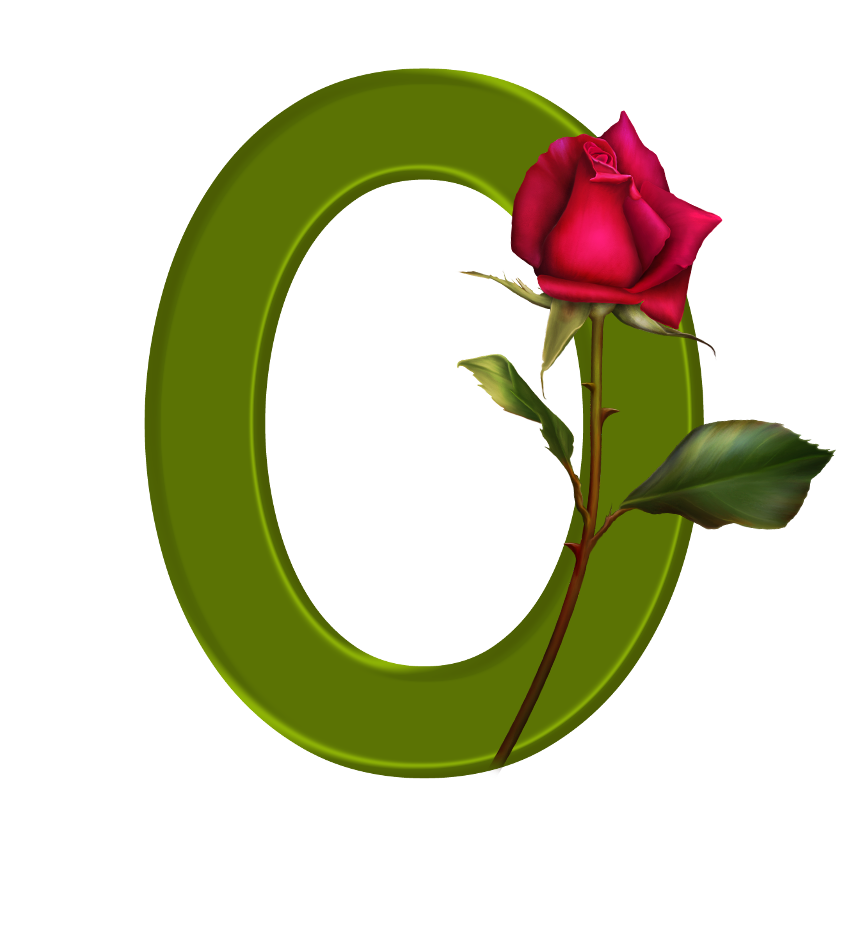Sussurro De Amor Alfabeto Decorativo Botão De Rosa 647